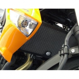 versys 650 radiator guard