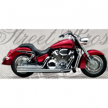 view Road Burner RB-01-2080-R 2.5in Street Pros Exhaust for Honda VTX1800R,S '02-'10