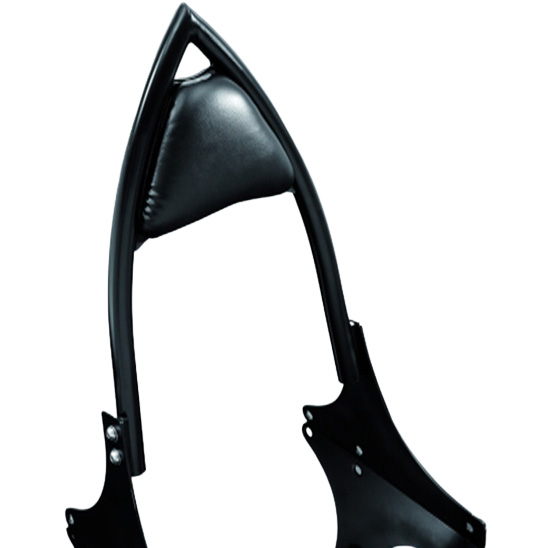 Vulcan 900 store custom sissy bar