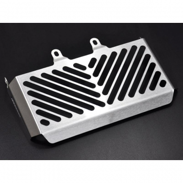 view Zieger 10001460 Clean Radiator Guard, Silver for BMW R nineT '13-'23